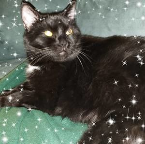 Meet your Posher, Mary